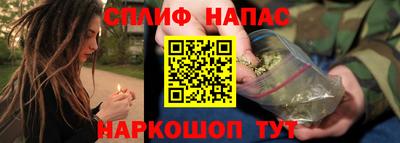 прущие грибы Славгород