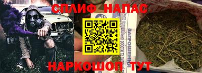 прущие грибы Славгород
