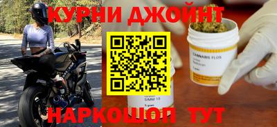 прущие грибы Славгород
