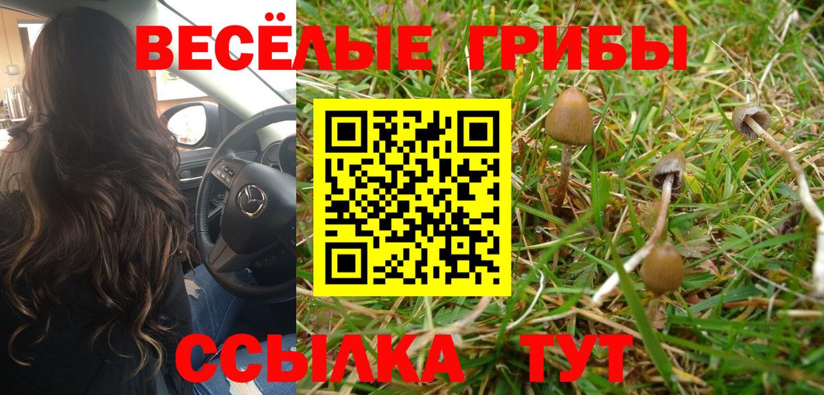 Псилоцибиновые грибы MAGIC MUSHROOMS  Галлюциногенные грибы Psilocybe  Вход с VPN  Полевской 